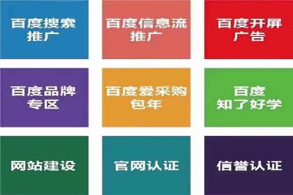 某某sem公司成功案例分享：从零到一的营销策略
